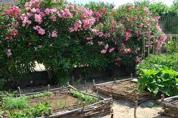 Mediterranean garden with its medieval-style square