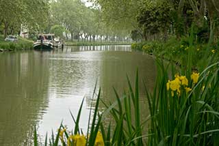 Le canal du midi